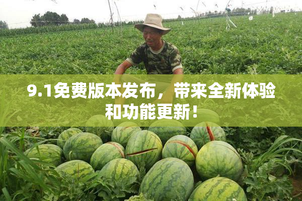 9.1免费版本发布，带来全新体验和功能更新！