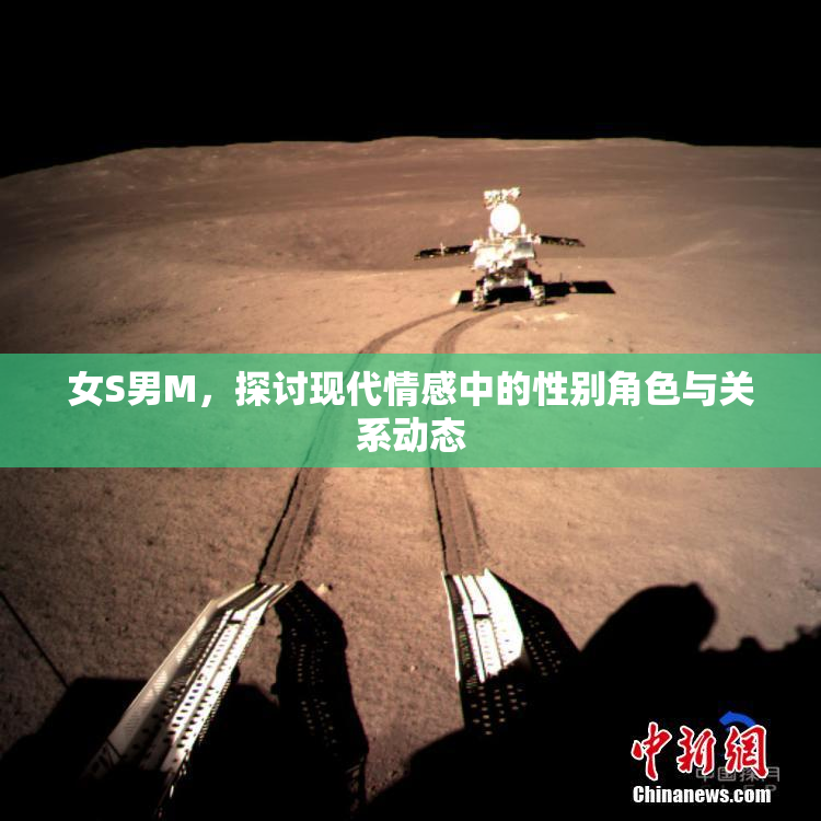 女S男M，探讨现代情感中的性别角色与关系动态