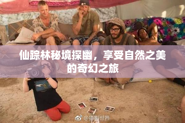 仙踪林秘境探幽，享受自然之美的奇幻之旅