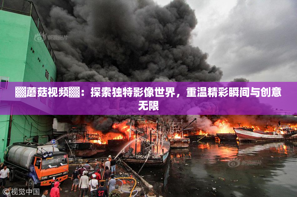 ▓蘑菇视频▓：探索独特影像世界，重温精彩瞬间与创意无限
