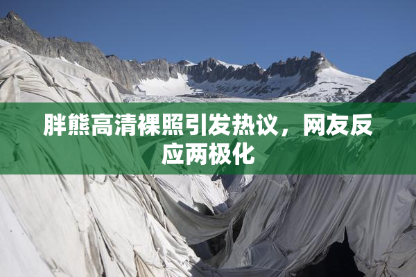 胖熊高清裸照引发热议，网友反应两极化