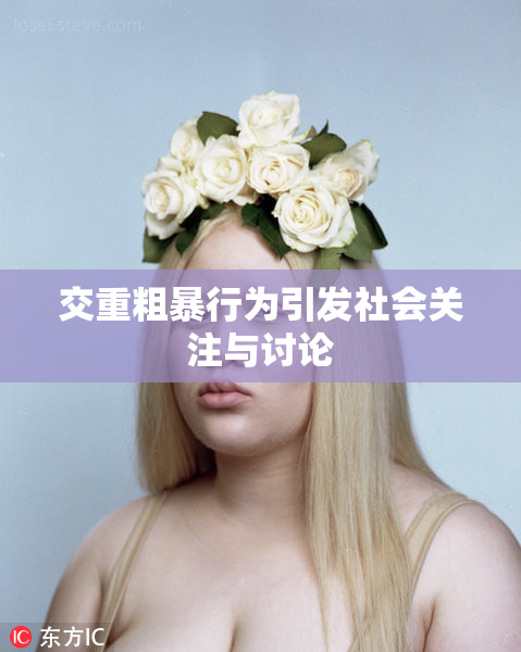 交重粗暴行为引发社会关注与讨论