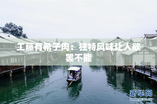 工藤有希子肉：独特风味让人欲罢不能