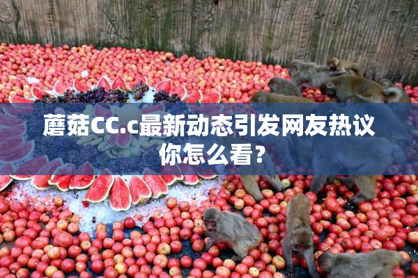 蘑菇CC.c最新动态引发网友热议 你怎么看？