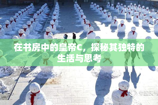 在书房中的皇帝C，探秘其独特的生活与思考