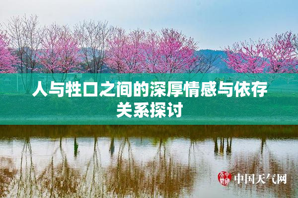 人与牲口之间的深厚情感与依存关系探讨