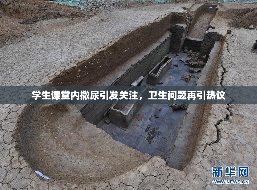 学生课堂内撒尿引发关注，卫生问题再引热议