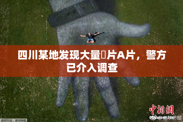 四川某地发现大量婬片A片，警方已介入调查