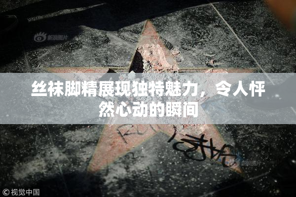丝袜脚精展现独特魅力，令人怦然心动的瞬间