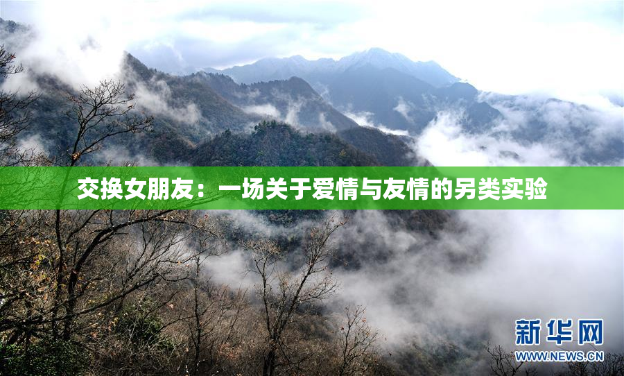 交换女朋友：一场关于爱情与友情的另类实验