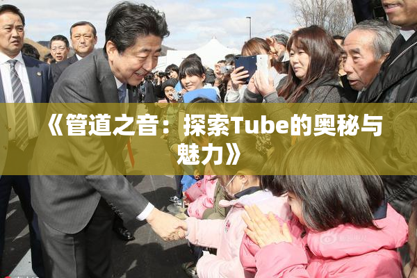 《管道之音：探索Tube的奥秘与魅力》