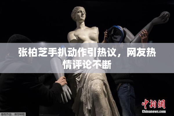 张柏芝手扒动作引热议，网友热情评论不断