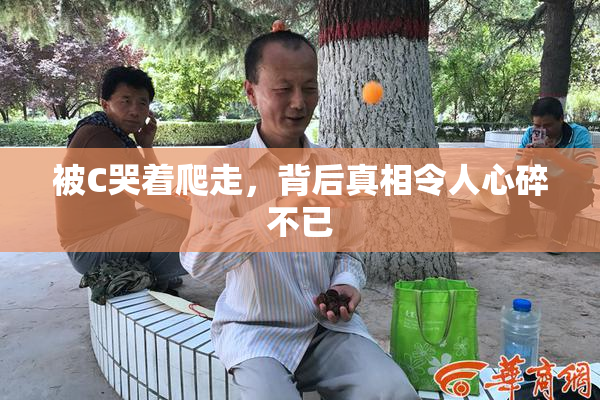 被C哭着爬走，背后真相令人心碎不已
