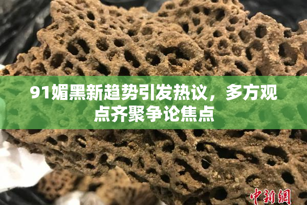 91媚黑新趋势引发热议，多方观点齐聚争论焦点