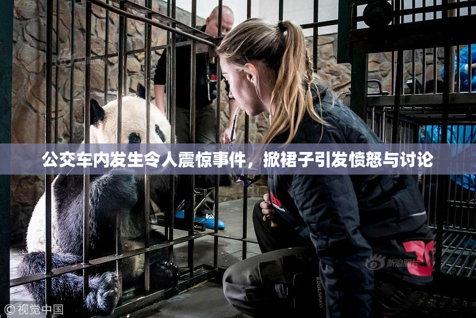 公交车内发生令人震惊事件，掀裙子引发愤怒与讨论