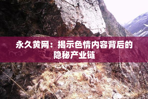 永久黄网：揭示色情内容背后的隐秘产业链