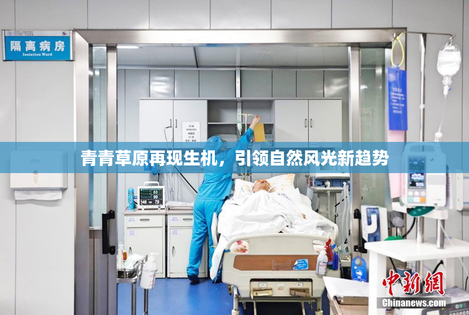 青青草原再现生机，引领自然风光新趋势