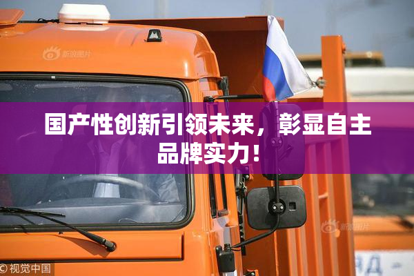国产性创新引领未来，彰显自主品牌实力！
