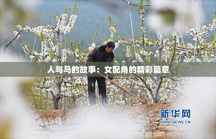 人与马的故事：女配角的精彩篇章