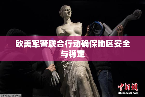 欧美军警联合行动确保地区安全与稳定
