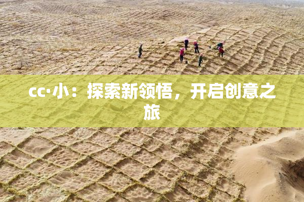 cc·小：探索新领悟，开启创意之旅