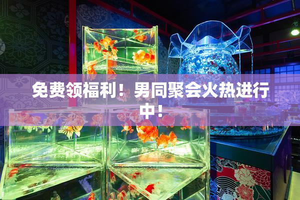 免费领福利！男同聚会火热进行中！