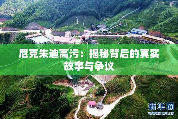 尼克朱迪高污：揭秘背后的真实故事与争议
