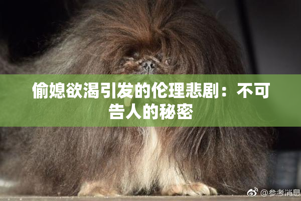 偷媳欲渴引发的伦理悲剧：不可告人的秘密