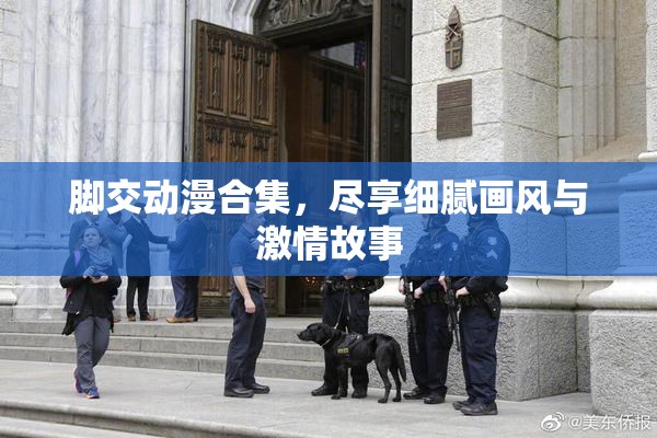 脚交动漫合集，尽享细腻画风与激情故事