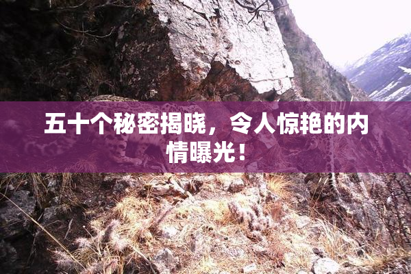 五十个秘密揭晓，令人惊艳的内情曝光！