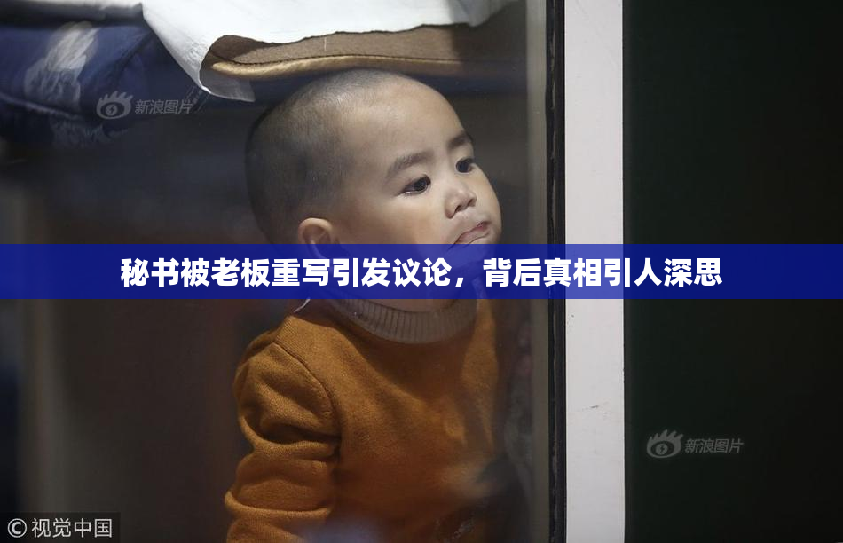 秘书被老板重写引发议论，背后真相引人深思