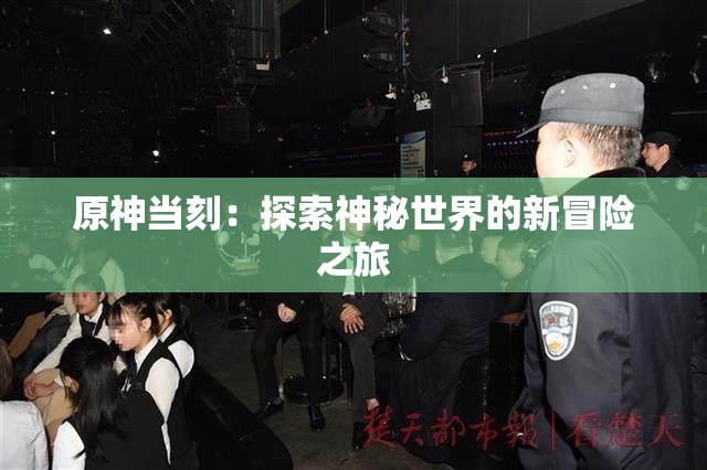 原神当刻：探索神秘世界的新冒险之旅