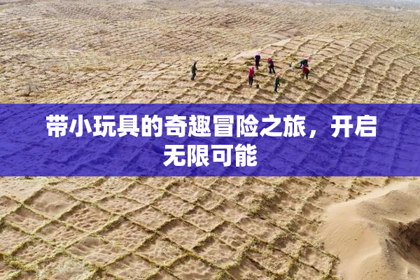 带小玩具的奇趣冒险之旅，开启无限可能