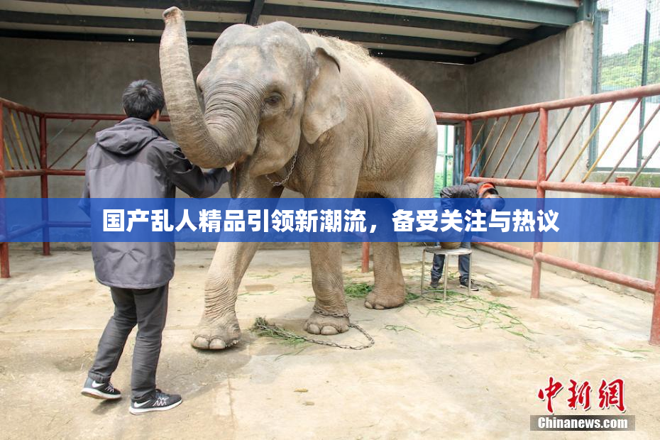 国产乱人精品引领新潮流，备受关注与热议