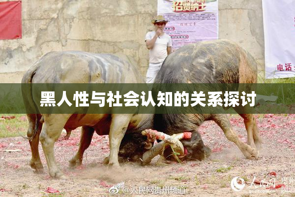 黑人性与社会认知的关系探讨