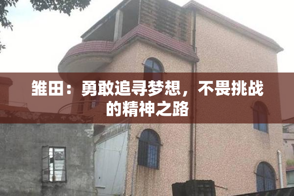 雏田：勇敢追寻梦想，不畏挑战的精神之路