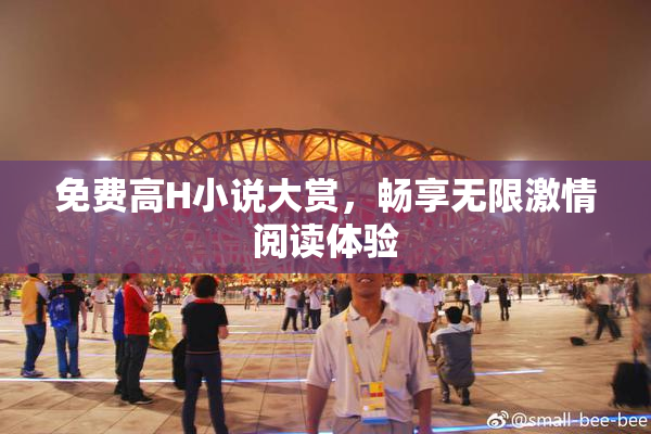 免费高H小说大赏，畅享无限激情阅读体验