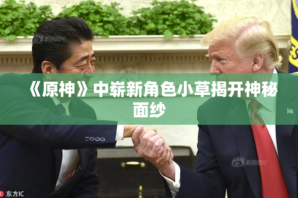 《原神》中崭新角色小草揭开神秘面纱