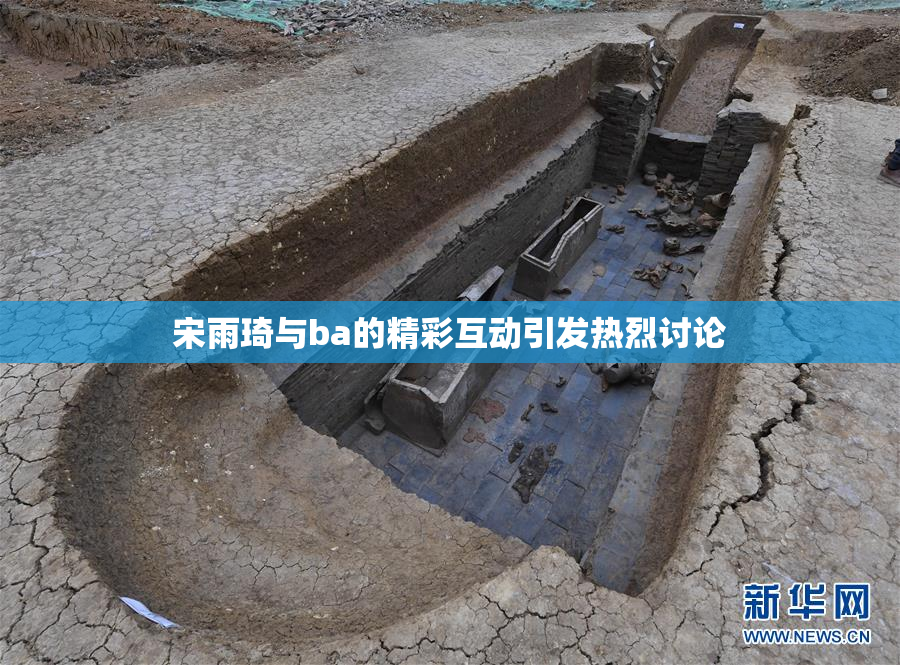 宋雨琦与ba的精彩互动引发热烈讨论