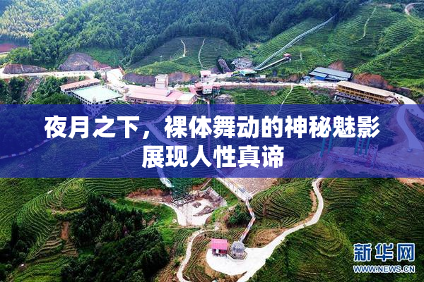 夜月之下，裸体舞动的神秘魅影展现人性真谛