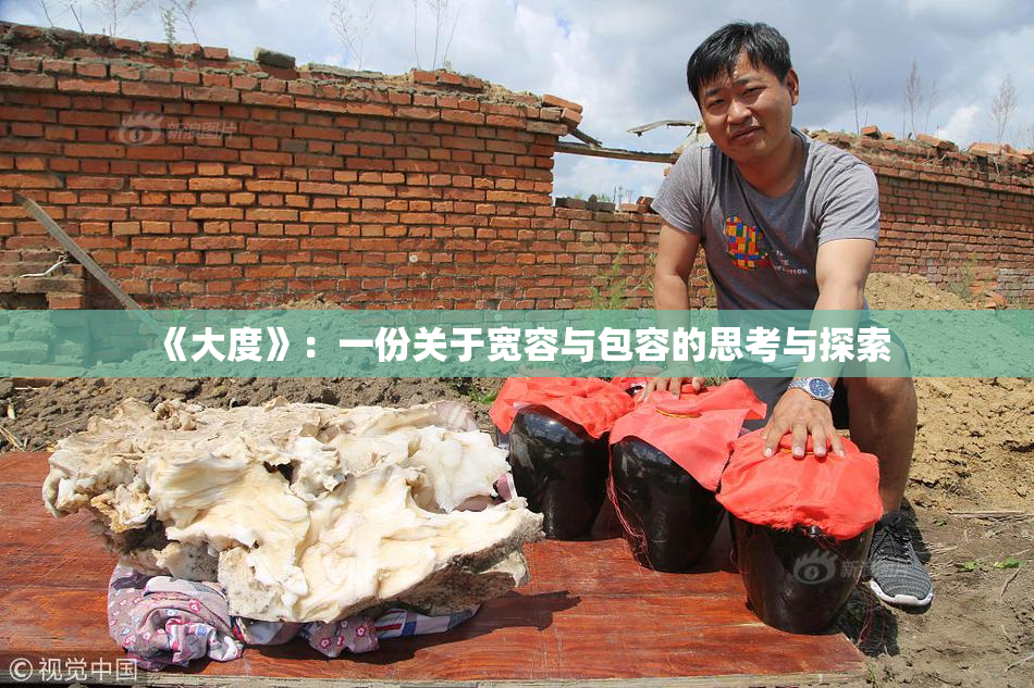 《大度》：一份关于宽容与包容的思考与探索