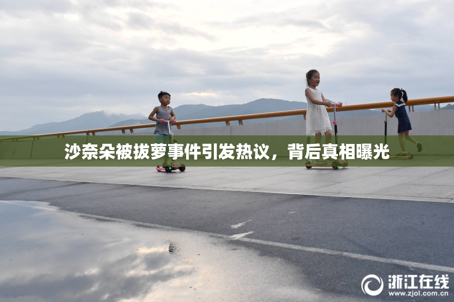 沙奈朵被拔萝事件引发热议，背后真相曝光