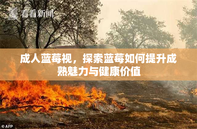 成人蓝莓视，探索蓝莓如何提升成熟魅力与健康价值