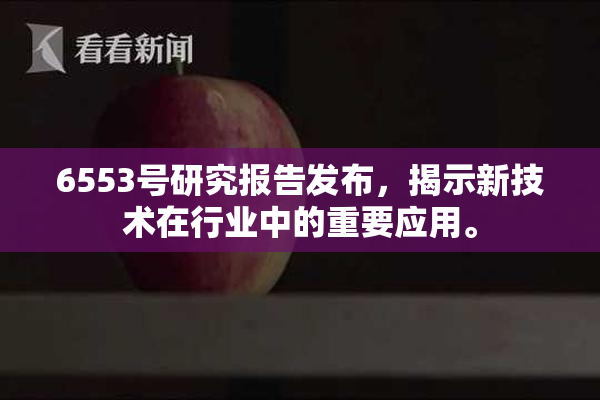 6553号研究报告发布，揭示新技术在行业中的重要应用。