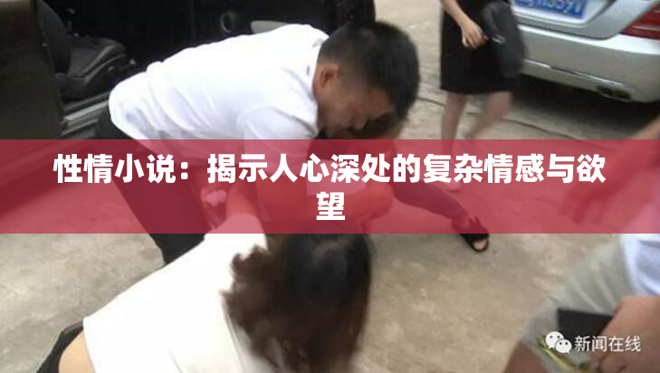 性情小说：揭示人心深处的复杂情感与欲望