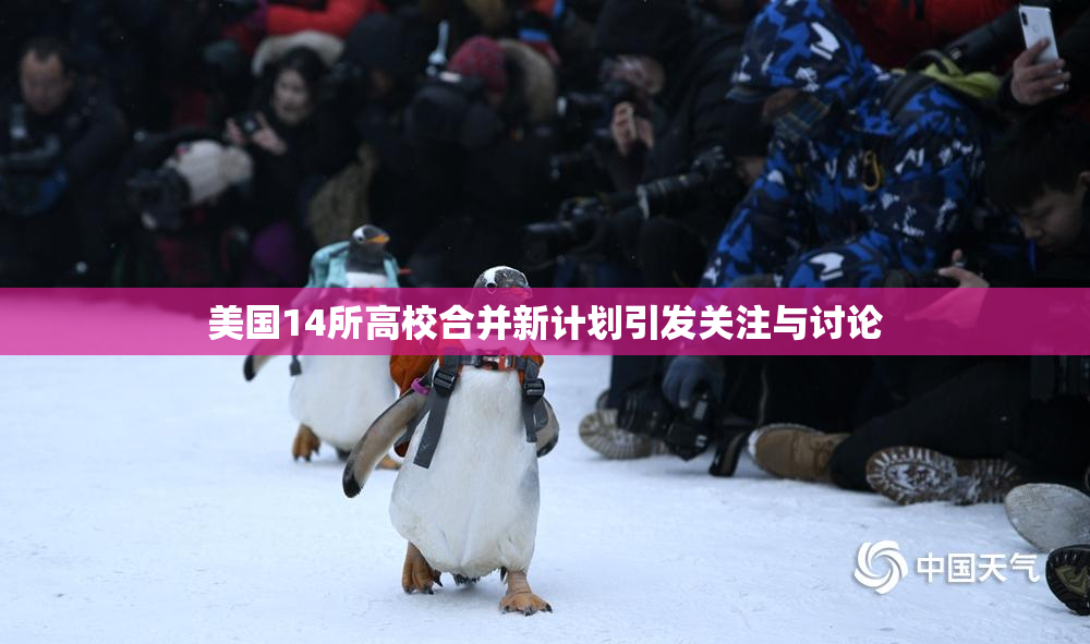 美国14所高校合并新计划引发关注与讨论
