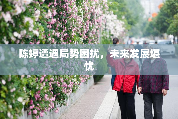 陈婷遭遇局势困扰，未来发展堪忧