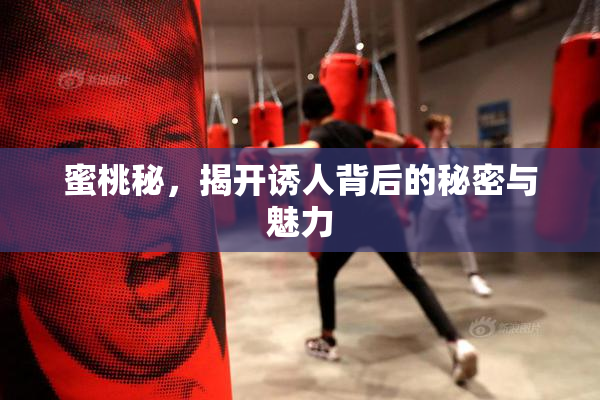 蜜桃秘，揭开诱人背后的秘密与魅力