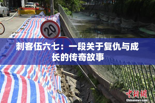 刺客伍六七：一段关于复仇与成长的传奇故事