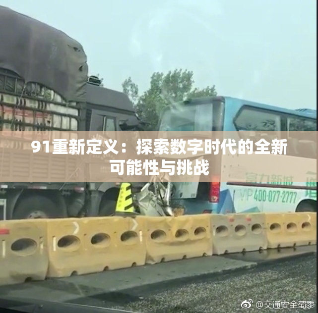 91重新定义：探索数字时代的全新可能性与挑战